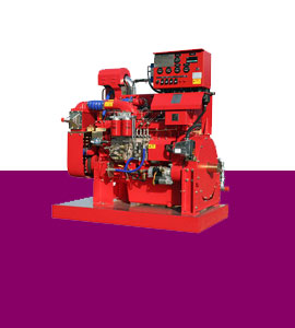 Fire Pumps